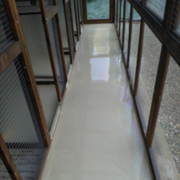 repair floor, epoxy resin floor, Blue Cat Cattery